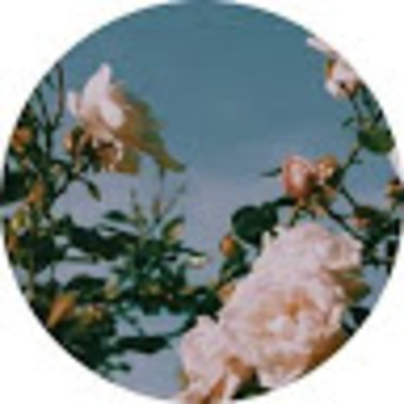 gulmira_aliyeva